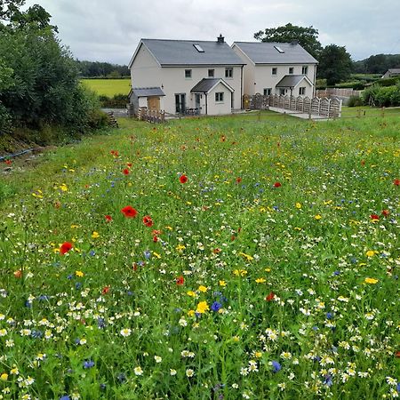 Family Country Cottage With Stunning Mountain Views Myddfai Zewnętrze zdjęcie